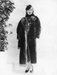 158.jpg
