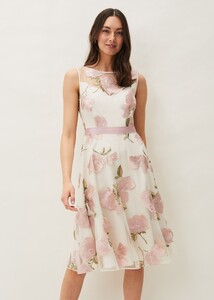 220354482-01-charlotte-floral-embroidered-dress.jpg