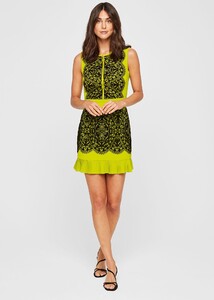 240494513-03-lanna-lace-fitted-dress.jpg