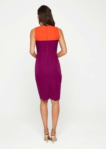 240524899-02-vida-colourblock-fitted-dress.jpg