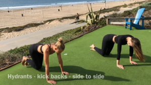 STEP_BY_STEP_WORKOUT_VIDEO-00.00.14.099.png