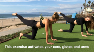 STEP_BY_STEP_WORKOUT_VIDEO-00.00.29.100.png