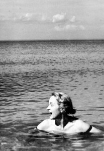 146.jpg
