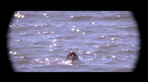 1943447852_ezgif.com-gif-maker(17).thumb.gif.1d062025c3bb242ca95816c13b3ad84d.gif