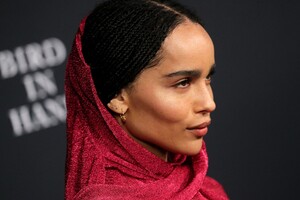       zoe161121BZNimage101.jpg