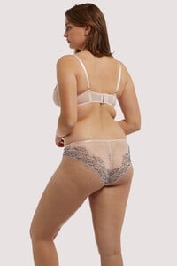 hustler-brief-hustler-jenny-graphic-lace-blush-brief-28940875399216_2000x.jpg