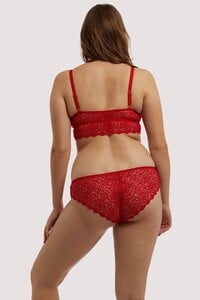 wolf-whistle-brief-wolf-whistle-ariana-red-everyday-lace-brief-28920566251568_2000x.jpg