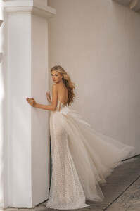 22-P101-3.jpg