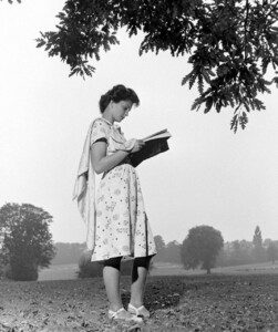85.jpg