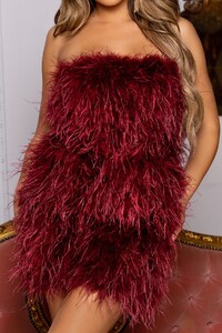 CL126536-berry2-feather-strapless-mini-dress-10_1200x.jpg