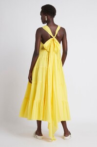S113-21RE5100_LeMemprisTieredMaxiDress_Daisy-21365-Aje-3874.jpeg