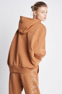 S8-21AW1040_Fleece_Signature_Hoodie_007_Dune-21258-Aje-1722.jpeg