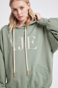 S94-21SS1145_Echo_Hooded_Jumper_Dusty_Sage-21490-Aje-2913_detailshot.jpeg