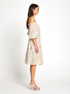 AMD3567-GOLD-AliceMcCALL_172-4034_2000x.jpeg