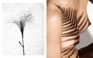 Flower_Tattoos_Layout6-1400x887.thumb.jpg.a3eaa26da9a7a8eb49df609d8c49a16f.jpg