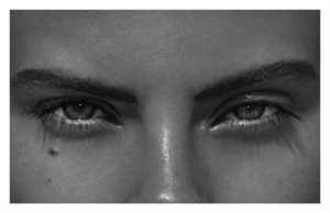 WTVR_Magazine_-_Issue_04_29.thumb.png.72b1e061624afe254786fb992acc0684.png