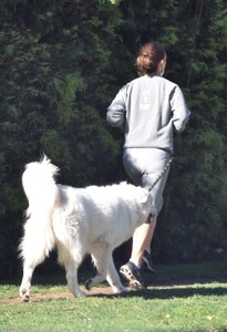 natalie-portman-out-jogging-with-her-dog-in-los-feliz-01-24-2022-2.jpg