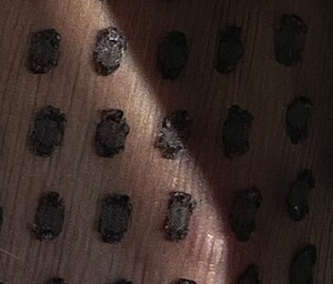 1035262652_image_7d41f630-a2ca-4922-969f-e5864c0534f0.thumb.jpg.dd615f6d2ae7058da8c10d1733a9fdfc.jpg