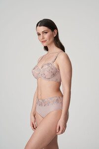 eservices_primadonna-lingerie-full_briefs-forever-0563001-skin-2_3491364.jpg