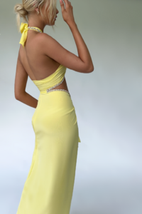 Veronica-Gown-Embellished-Lemon-Silk-Style-1b_2400x.png
