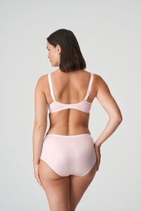 eservices_primadonna-lingerie-full_briefs-every_woman-0563111-skin-3_3498618.jpg