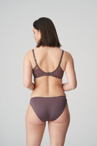 eservices_primadonna_twist-lingerie-briefs-i_do-0541600-brown-3_3544133.jpg