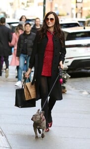 famke-janssen-out-with-her-friend-s-dog-in-new-york-02-12-2022-6.thumb.jpg.2984e7fb404f6e6c3c1db2ff1a3b4541.jpg