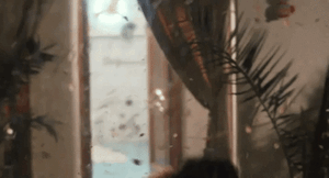444_1000.thumb.gif.b2efcc58208cce18e28e1e0583dfcc9d.gif
