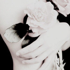 822433419_rose02.thumb.jpg.75c9112ed5570897651e230b0c6c5a65.jpg