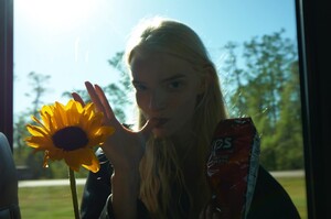 anyataylorjoy_278630568_129647856314934_2312971958865069133_n.jpg