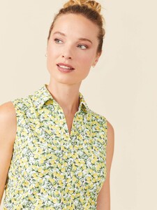 greens_0190895479_white_yellow_green_citrus_meyer_039.jpg