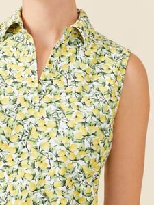 greens_0190895479_white_yellow_green_citrus_meyer_053.jpg