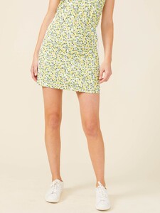 palm_spring_0111155479_white_yellow_green_citrus_meyer_092.jpg