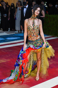 [08791ecf801d4571b013bde91858b827] NY - 2022 Metropolitan Museum of Art Costume Institute Gala.png