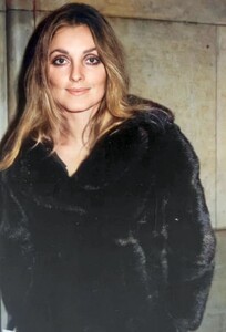 96.jpg