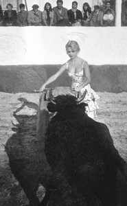 155.jpg