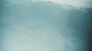 1956327850_ezgif.com-gif-maker-2022-06-19T221429_925.gif