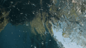 916508359_ezgif.com-gif-maker(60).gif