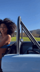 gf3.gif