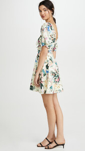 tlily3019211454_q3_2-0.jpg
