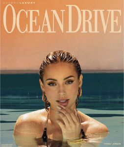 Modern Luxury Ocean Drive 822.jpg