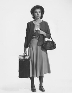 97.jpg