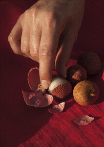 Ella-Weisskamp-S-Magazine-18-Maddalena-Arcelloni-8.thumb.jpg.0b9e2f9563dba6498575b04acac7e845.jpg