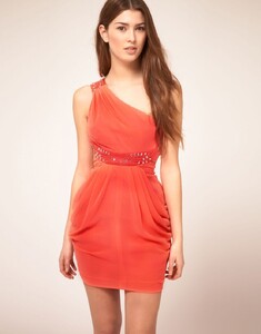 2049750-1-cameliaorange.jpg
