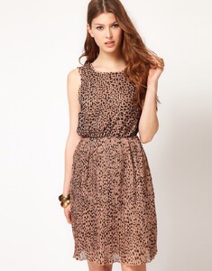 2209883-1-leopard.jpg