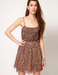 2209966-1-leopard.jpg