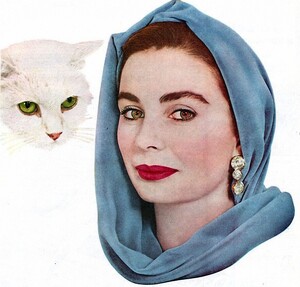 63.jpg