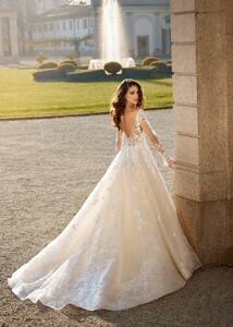 Darla_1589-scaled.jpg