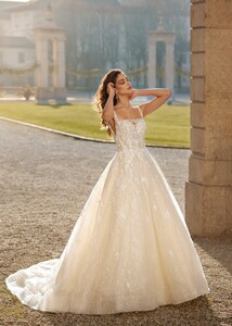 Darla_1642-scaled.jpg