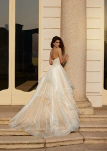 Dolly_1432-scaled.jpg